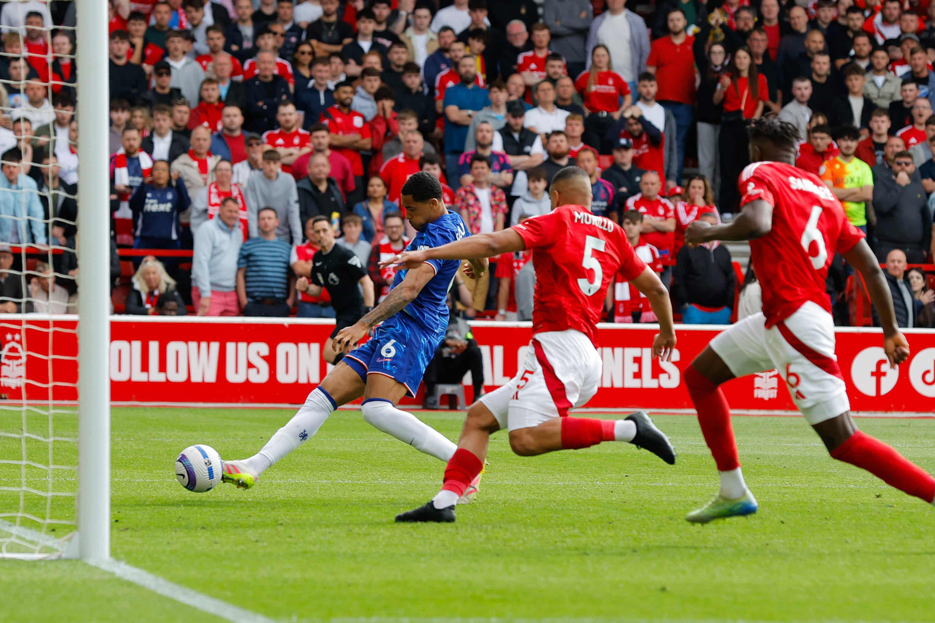 The Guardian - Colwill Chelsea.jpg