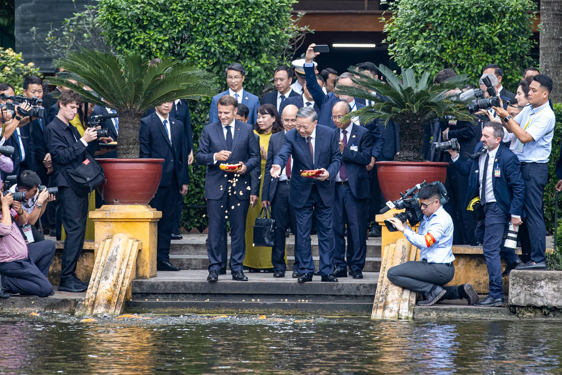 Trồng cây 16.jpg