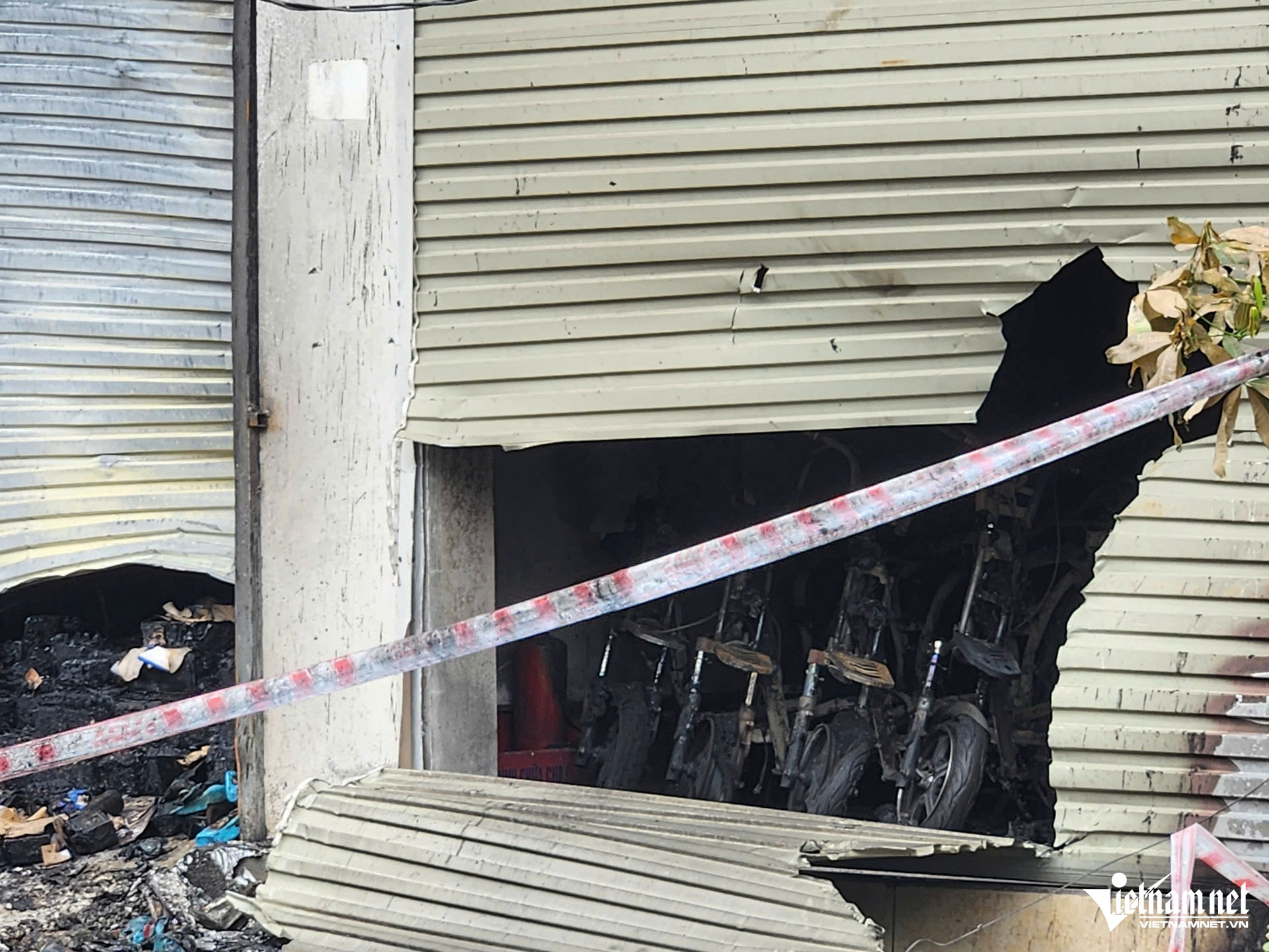 W-vải thiều bắc giang_7.JPG.jpg