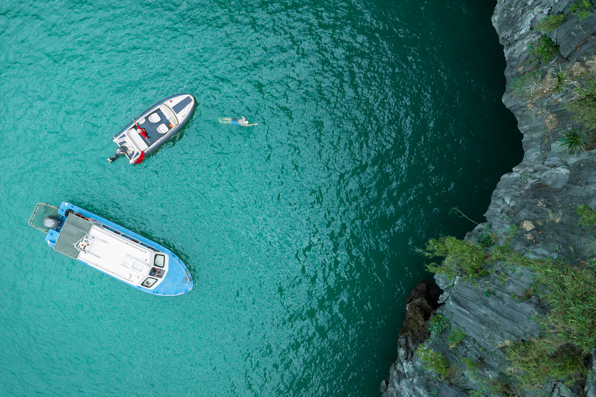 anh vien do kim phuc 4.jpg