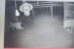Camera nhà dân ghi lại khoảnh khắc người đi xe máy lao xuống ‘hố tử thần’ sâu 10m
