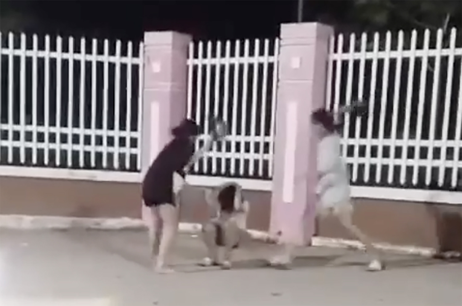 đánh nữ sinh.jpg