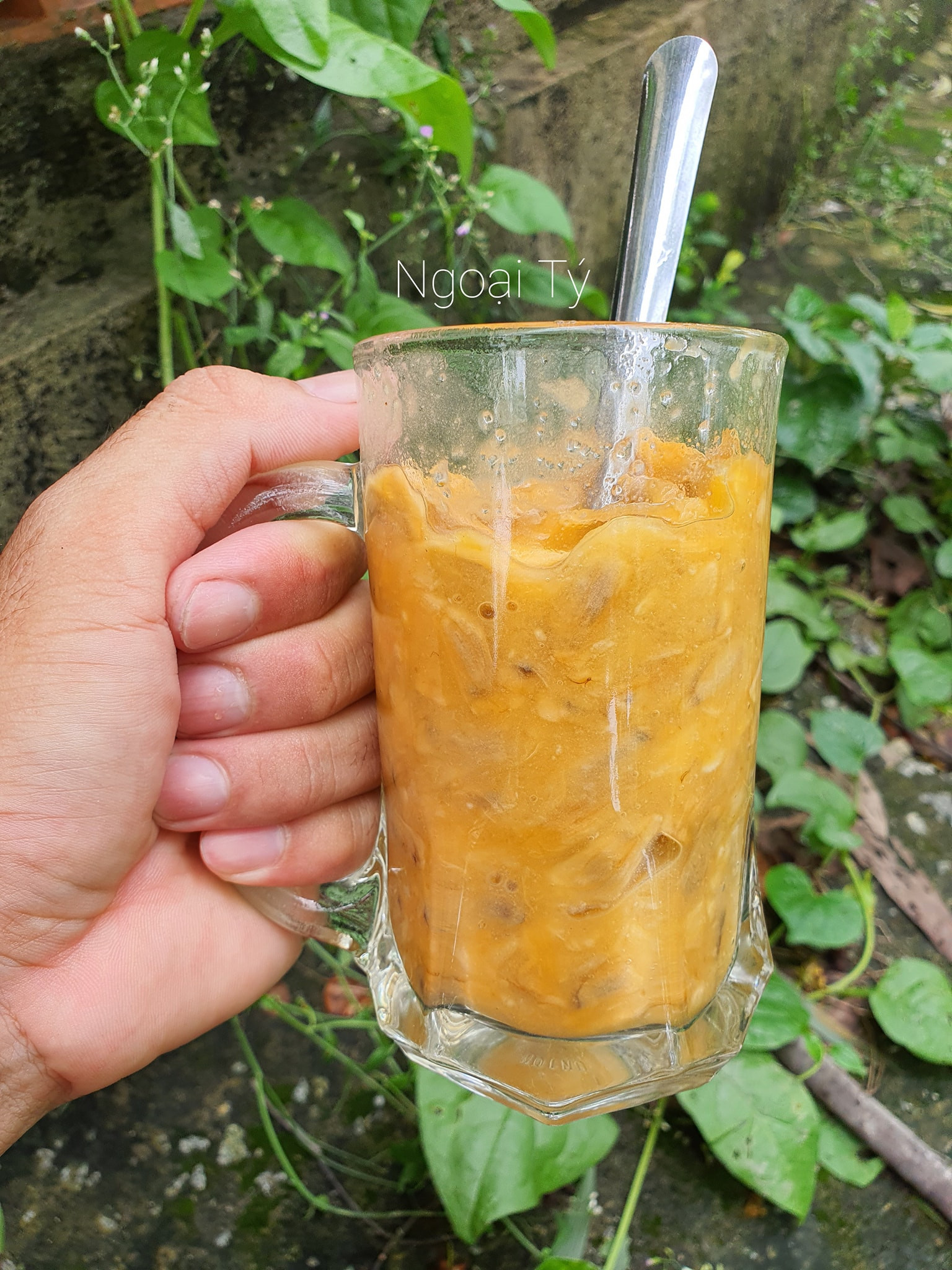 trái bình bát