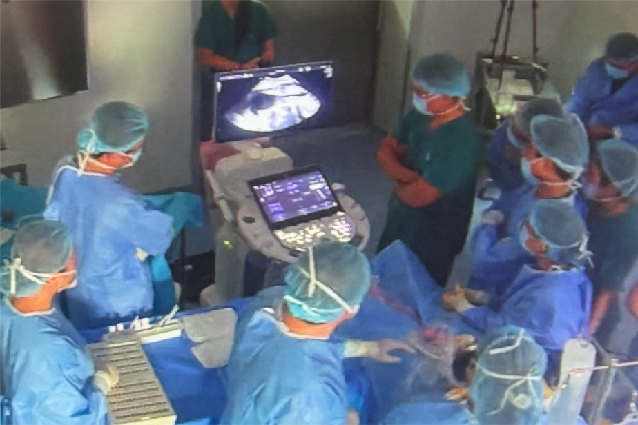 Bệnh nhân từ Singapore sang Việt Nam chữa trị thành công, cả gia đình bật khóc