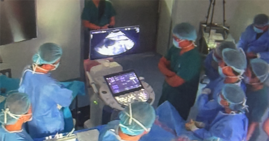 Bệnh nhân từ Singapore sang Việt Nam chữa trị thành công, cả gia đình bật khóc