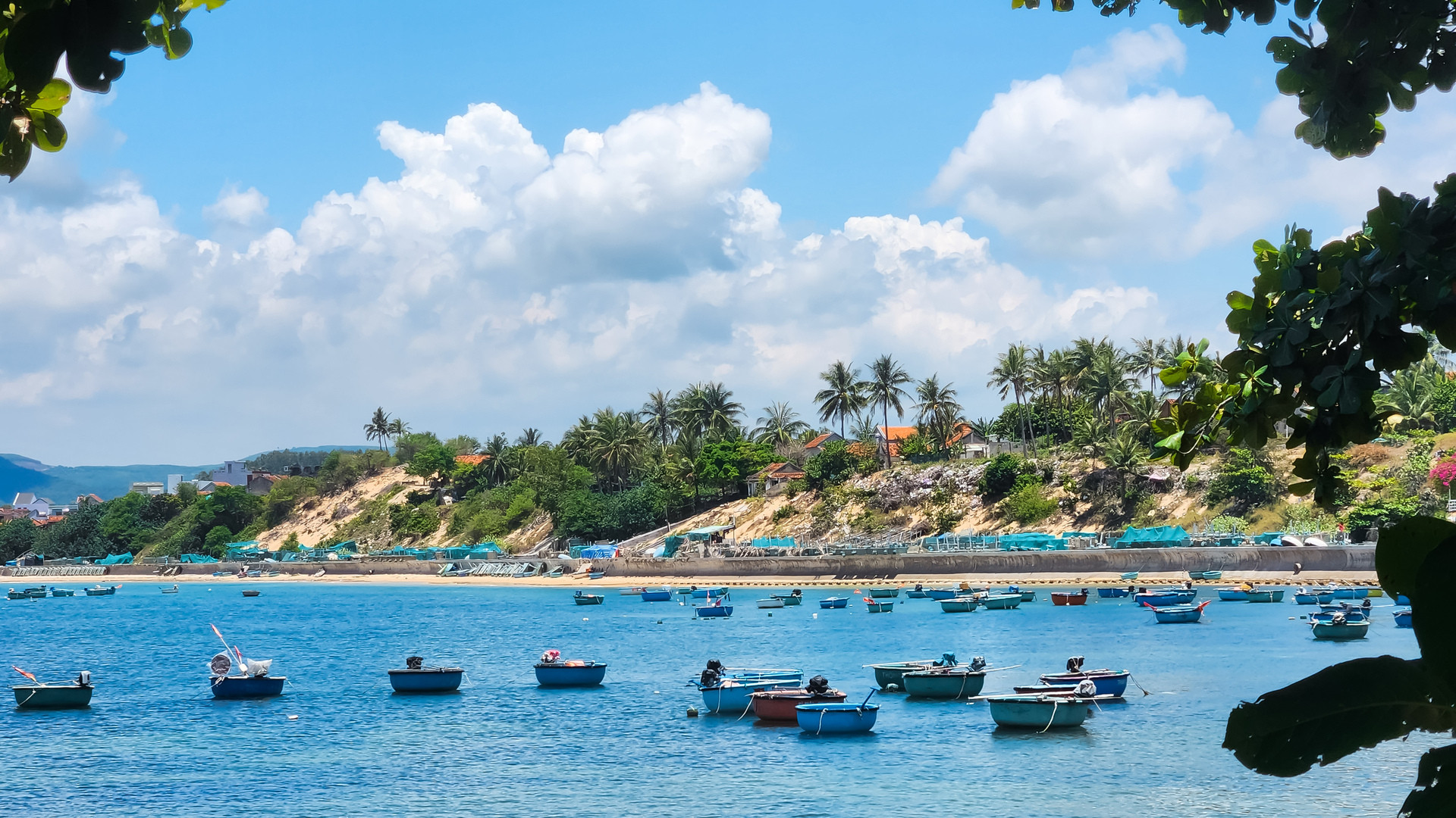 kỳ co phú yên bình định