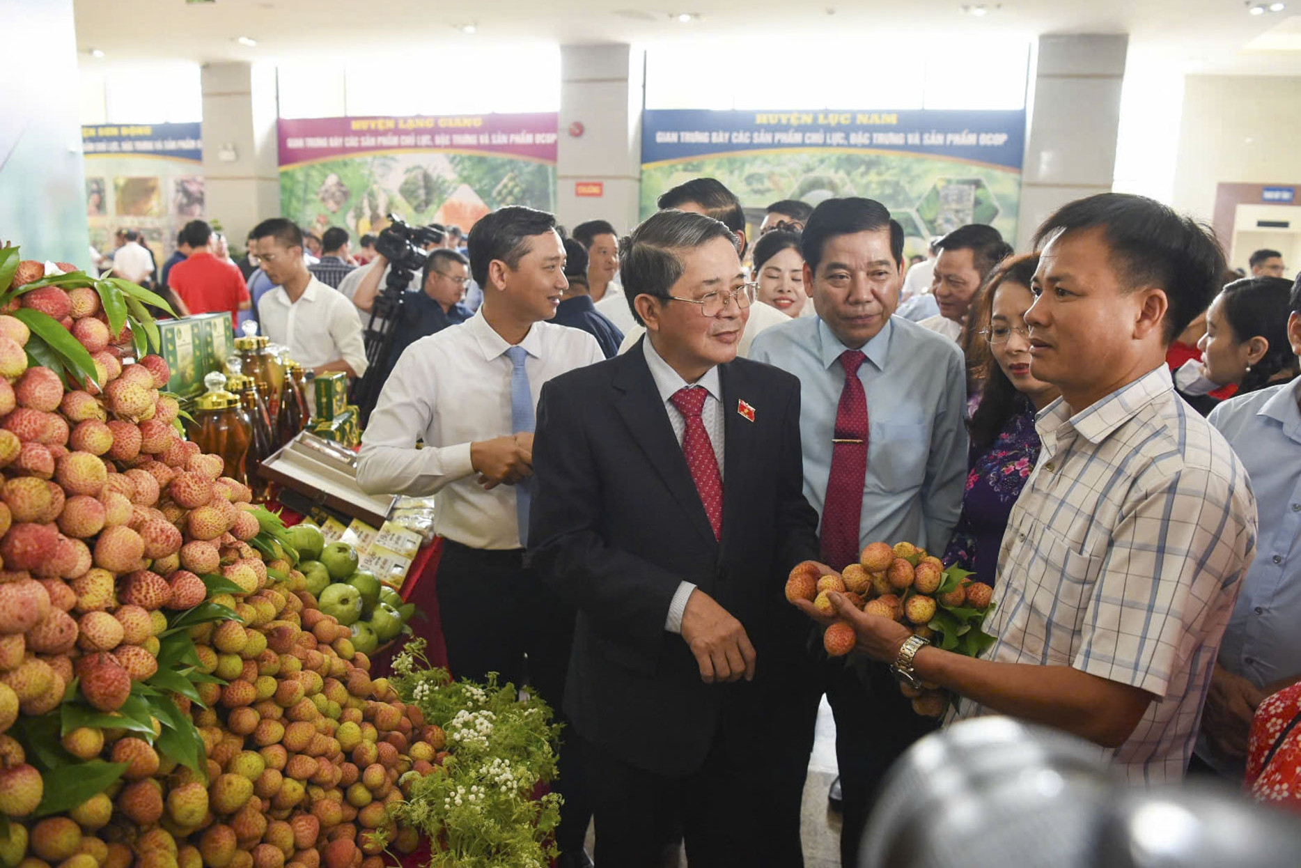 Năm nay, 165.000 tấn vải thiều Bắc Giang sẽ 'đổ bộ' thị trường
