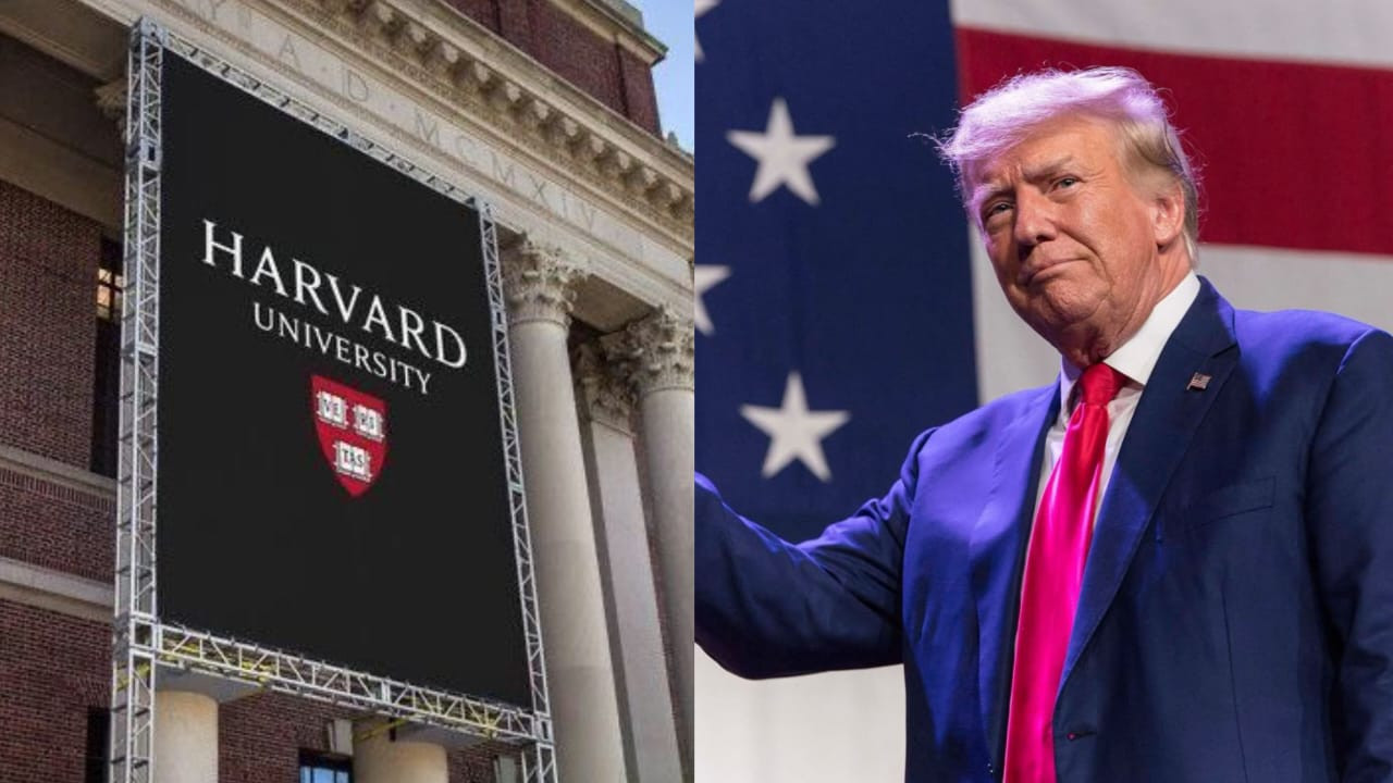 Trump de Harvard.jpeg