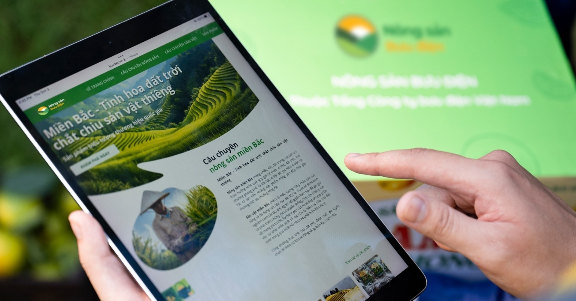 Hợp tác xã, hộ kinh doanh học cách đưa sản phẩm OCOP lên sàn thương mại điện tử