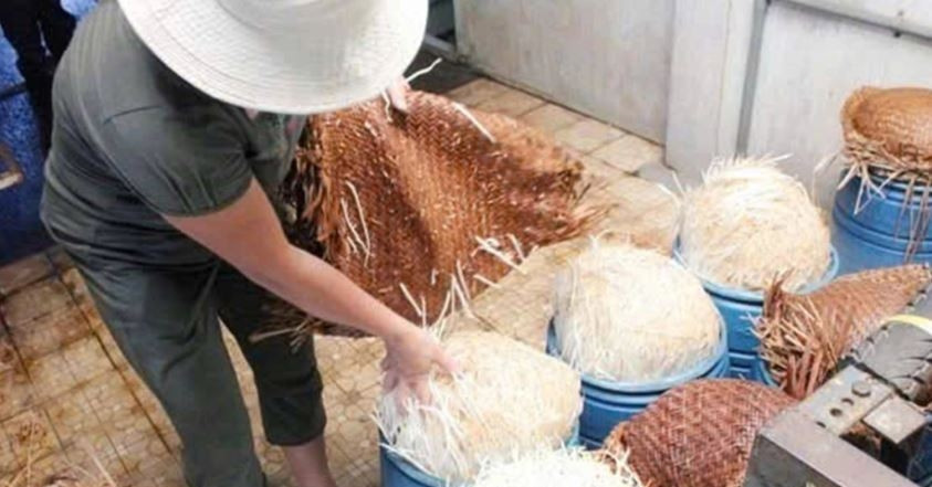 Phanh phui những vụ tẩm hóa chất độc hại vào nguyên liệu món ăn quen thuộc