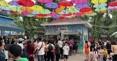 Chen chân ngắm hà mã, hổ, voi... ở vườn thú lớn nhất Hà Nội