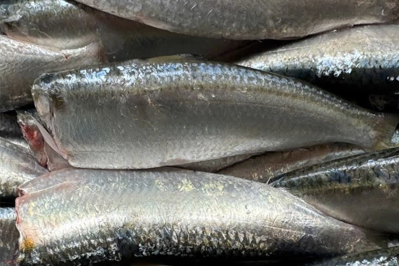 Duy trì thị phần, tập trung chế biến sâu thuỷ sản để hưởng lợi từ UKVFTA