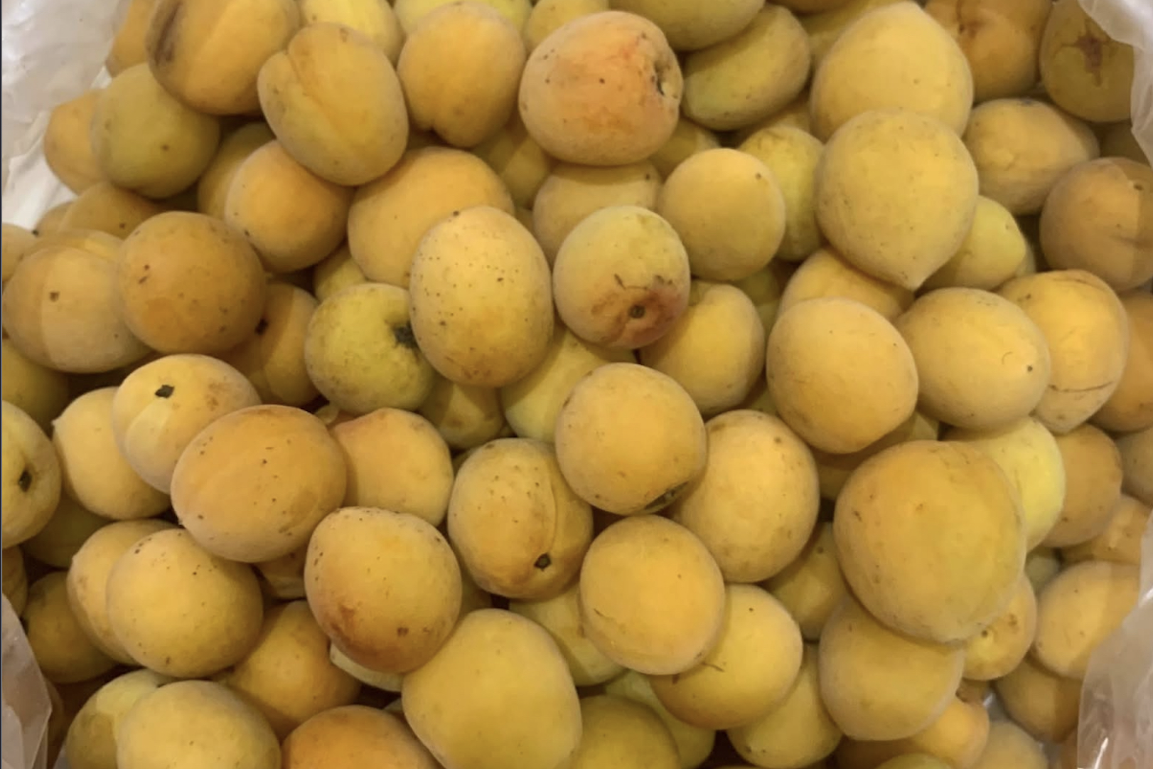 Nhiều trái cây đặc sản lần đầu xuất khẩu chính ngạch sang thị trường Anh