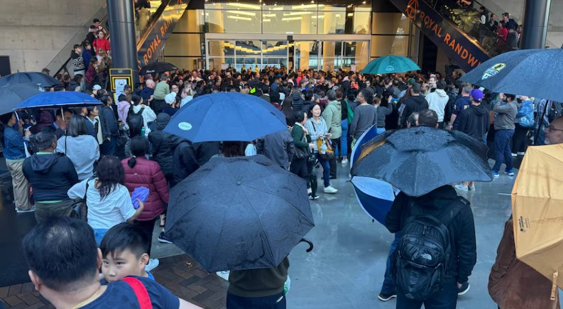 thi truong chuyen.jpg