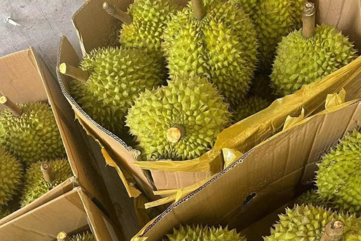 Thương mại Việt Nam - Anh có tiềm năng tăng trưởng vững nhờ UKVFTA