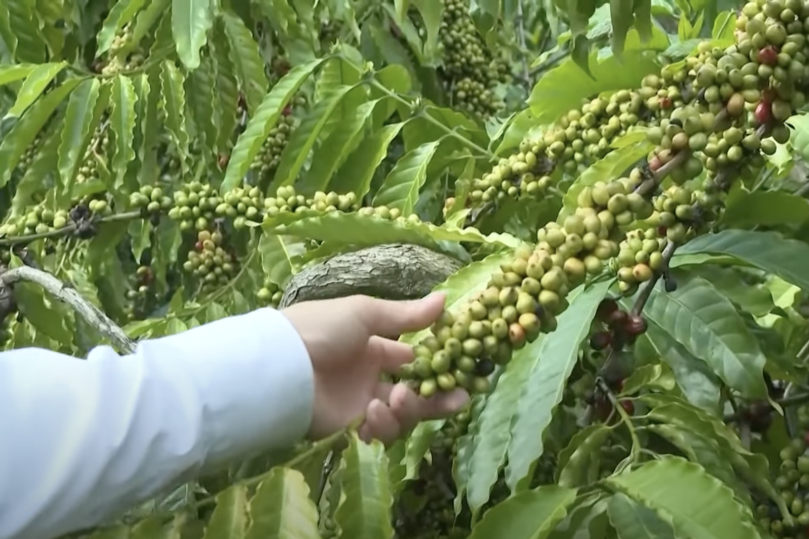 Việt Nam - Vương quốc Anh: Mục tiêu nâng kim ngạch thương mại lên 10 tỷ USD