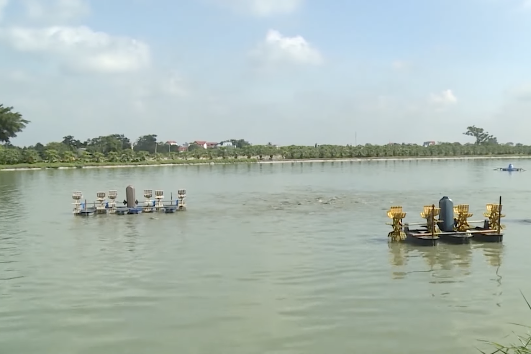 Vương quốc Anh tài trợ 3,5 triệu bảng cho dự án thủy sản tại Việt Nam
