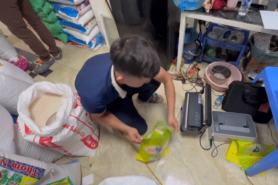Bản tin sáng 30/5: Công bố hình ảnh hơn 17 tấn gạo ngon nhất thế giới bị làm giả
