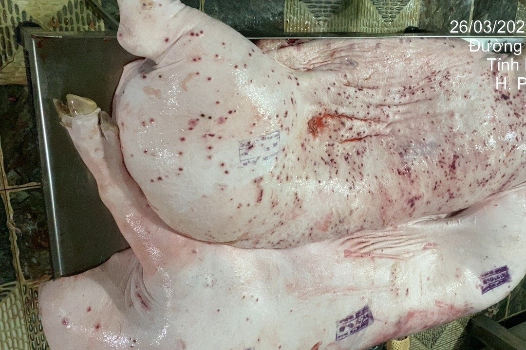 C.P. Việt Nam có động thái đầu tiên sau bài tố cáo trên mạng xã hội