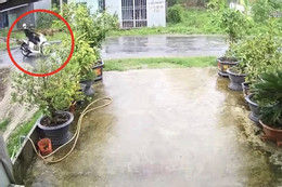 Đi xe máy va trúng dây điện đứt, 2 nam thanh niên tử vong