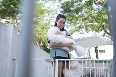 Mê chó “bông tuyết”, người chơi 