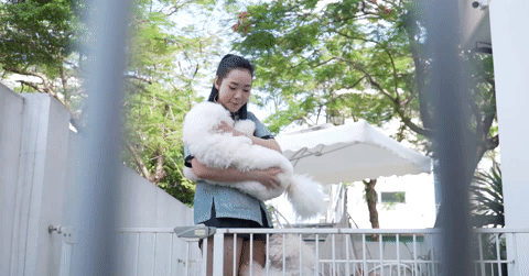 Mê chó “bông tuyết”, người chơi 'xuống tiền' cả trăm triệu đồng