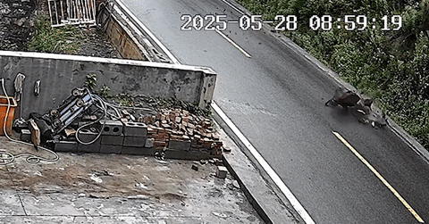 Ô tô bất ngờ bị hất văng xuống vực bởi tảng đá lớn lăn xuống từ núi cao