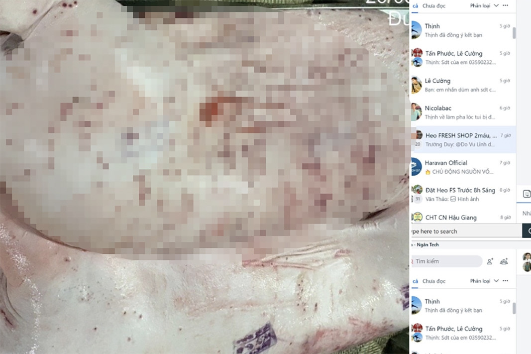 Sóc Trăng lập đoàn kiểm tra các điểm chăn nuôi, gồm C.P. Việt Nam sau tố cáo trên Facebook