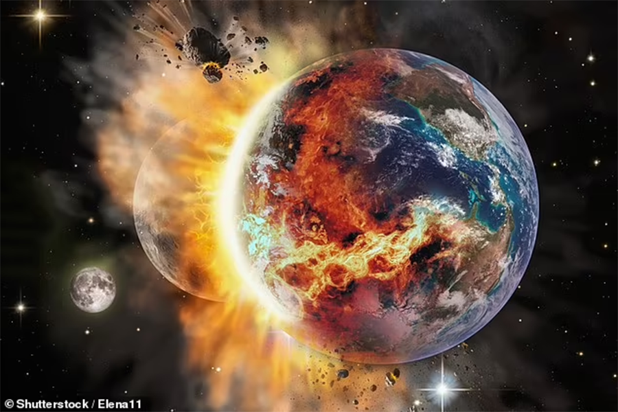 trai dat diet vong 1.png