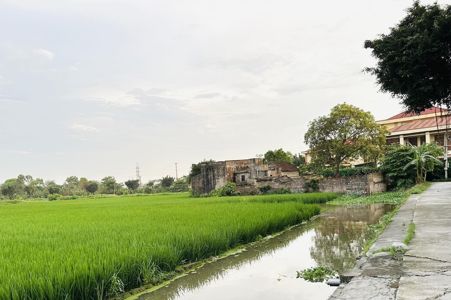 Tự ý xây nhà ở lâu năm trên đất nông nghiệp phạt thế nào?