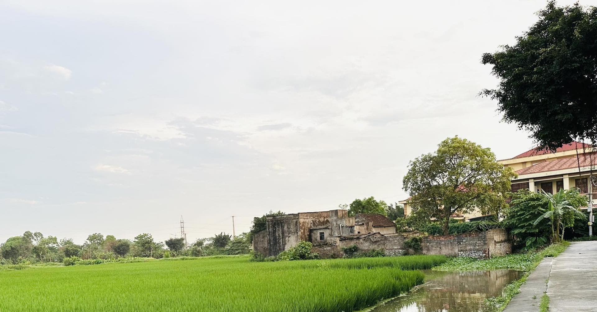 Tự ý xây nhà ở lâu năm trên đất nông nghiệp phạt thế nào?