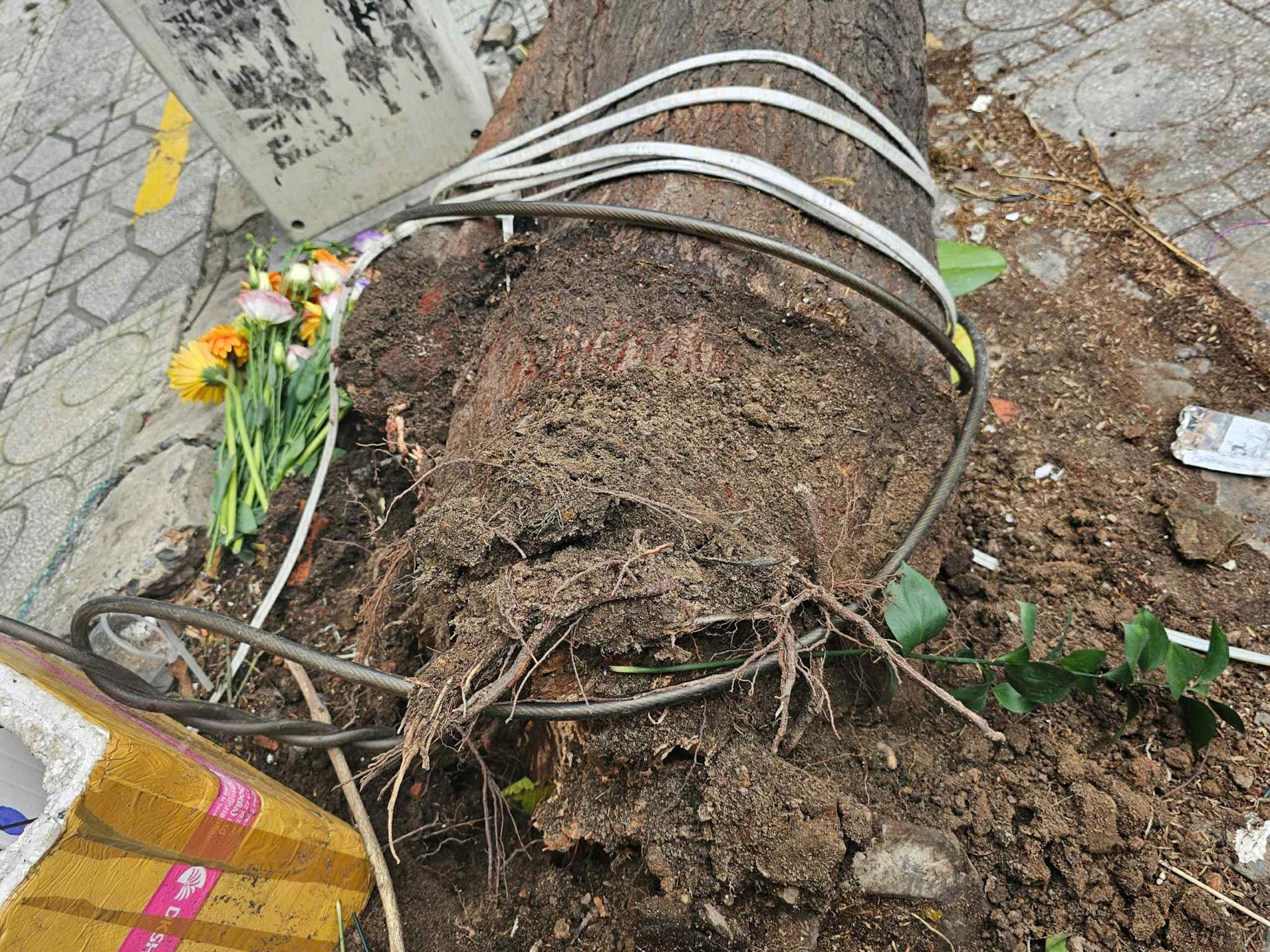 7c673abe 30ad 4814 90f8 337e7367733c.jpg