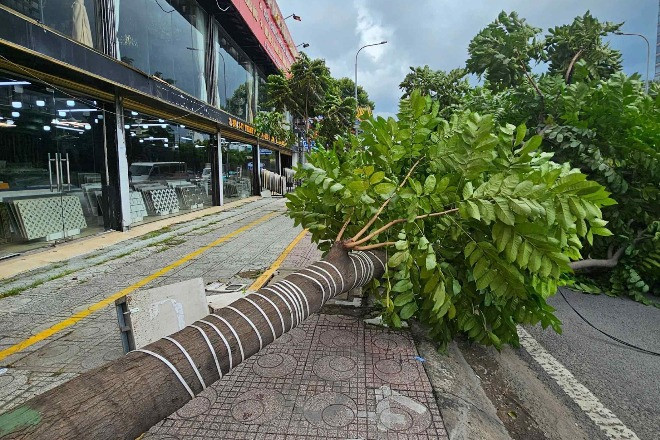 b9f724f0 c0d0 4c8a aab3 7f1518b42293.jpg