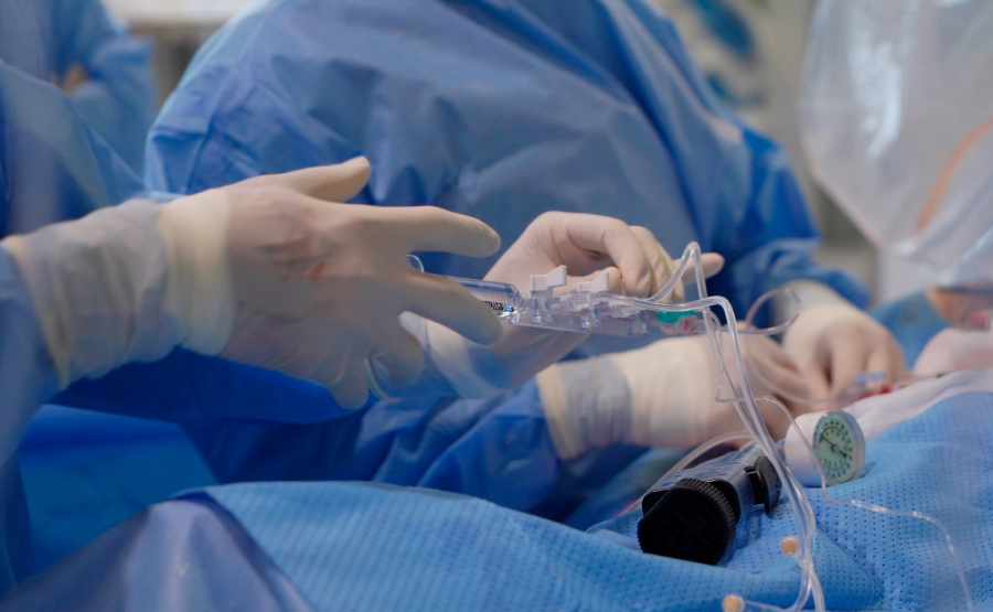 can thiep dot quy 2.png