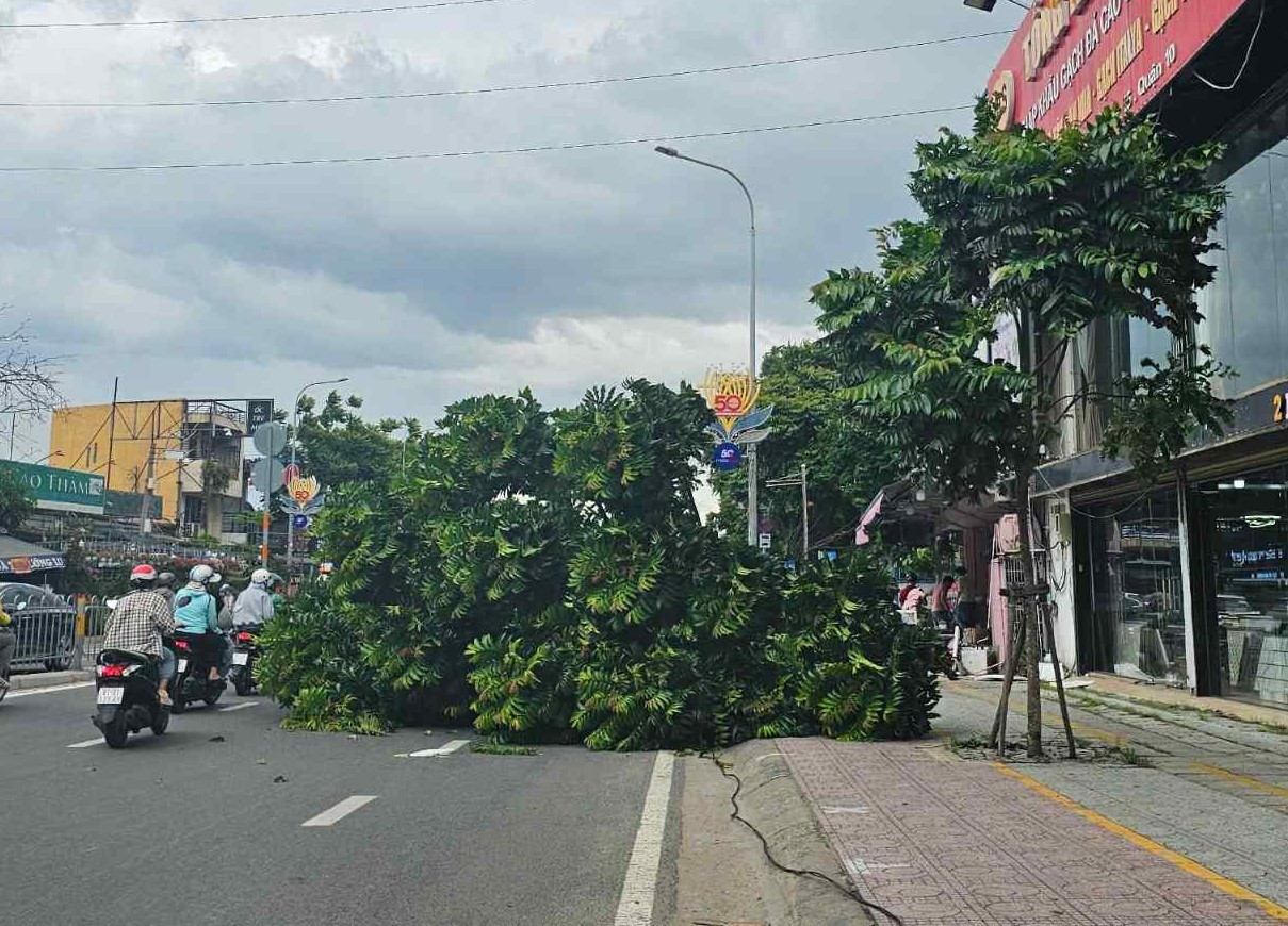 da9dcd20 4ee7 43d6 b5fb 0f6f0e29a79b.jpg