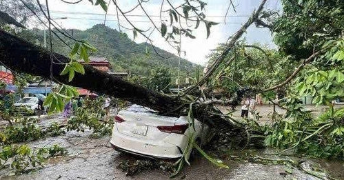 Bản tin cuối ngày 4/5: Mưa dông trút xuống TP Hòa Bình, cây bật gốc đè bẹp ô tô