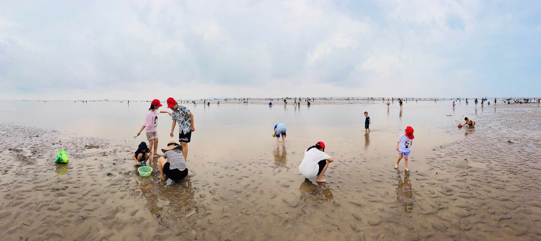 cào ngao ở Hải Phòng 4.jpg