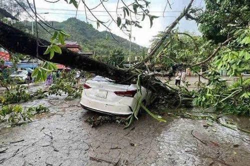 Mưa dông trút xuống TP Hòa Bình, cây đa cổ thụ bật gốc đè bẹp ô tô chở 4 người