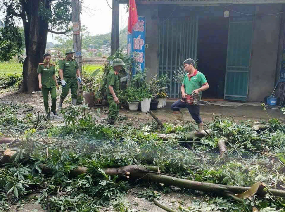 mua hoa binh 2.jpg