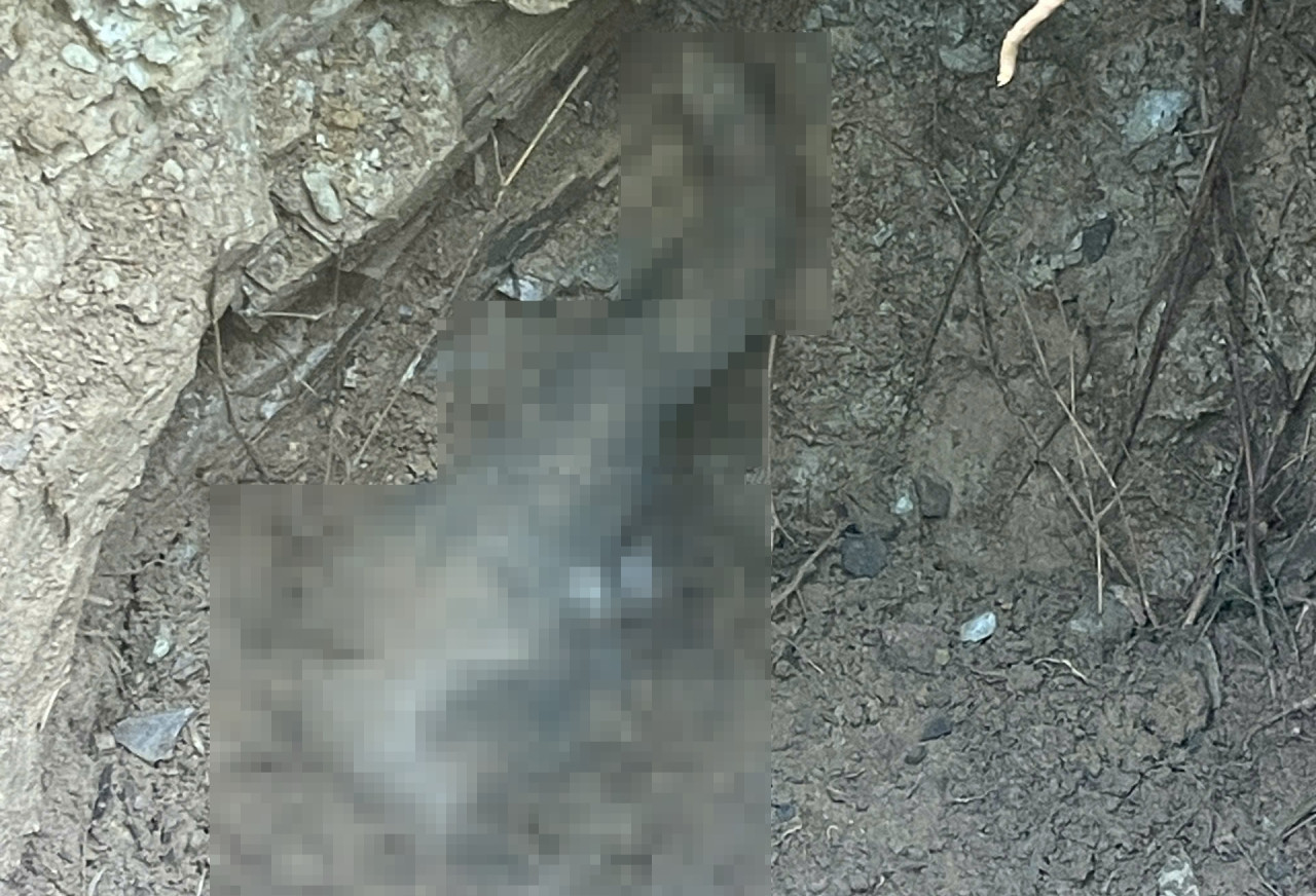 Phát hiện voi con thuộc loài nguy cấp chết dưới giếng ở Đồng Nai