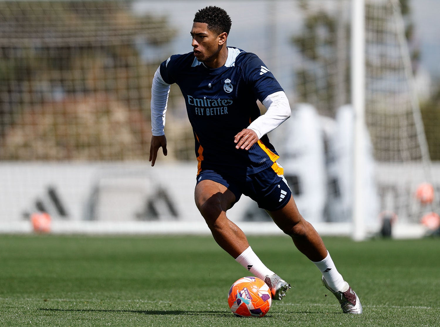 RMCF. Bellingham.jpeg