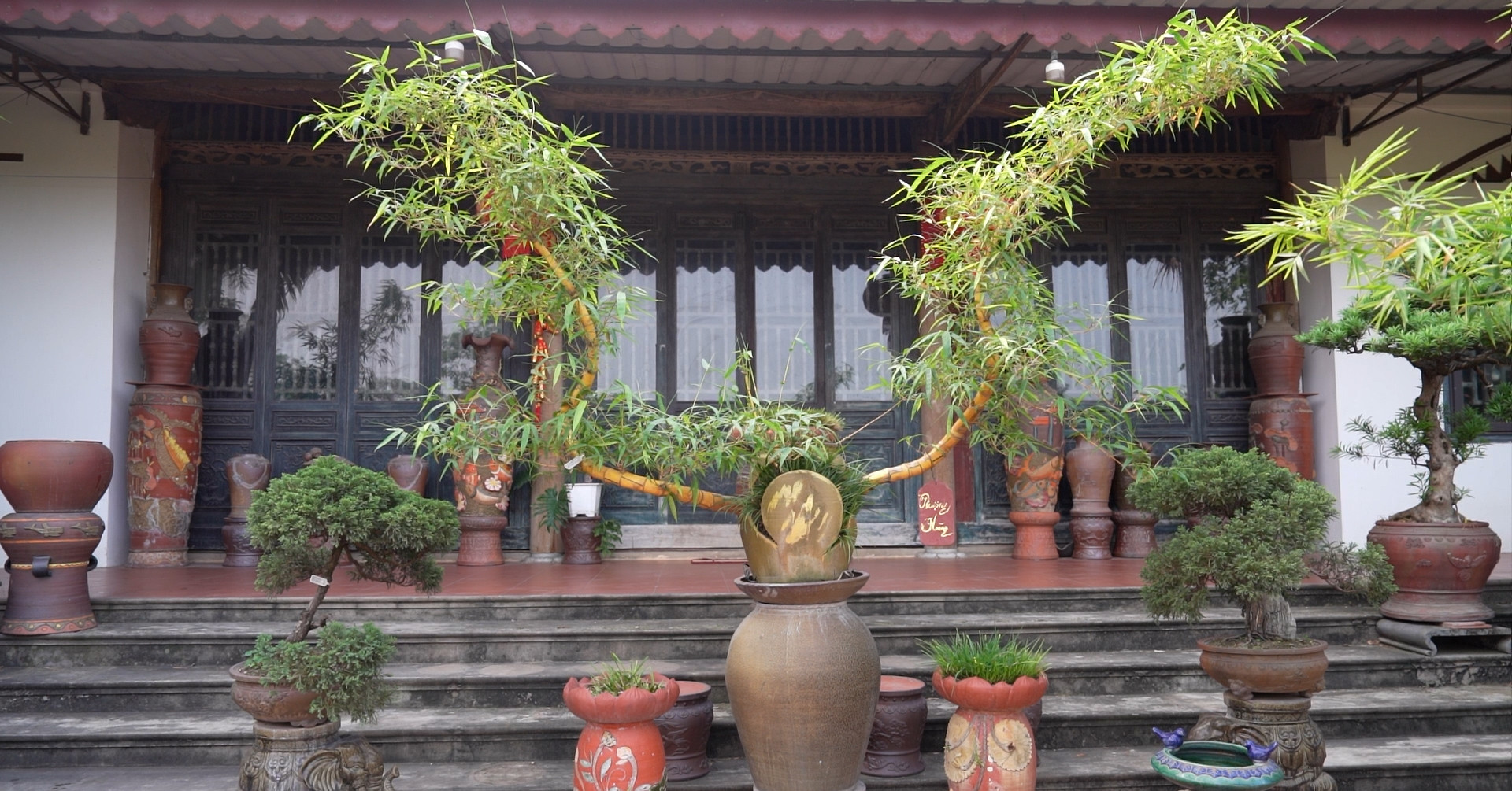 9x Bắc Giang biến tre thành kiệt tác bonsai khiến giới cây cảnh mê mẩn