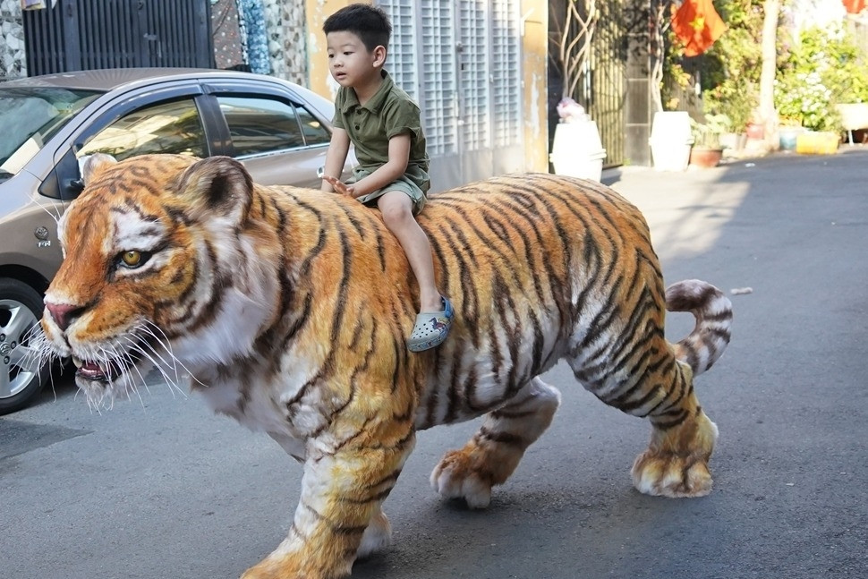 Chàng trai làm mô hình hổ sống động, xôn xao hẻm nhỏ TPHCM