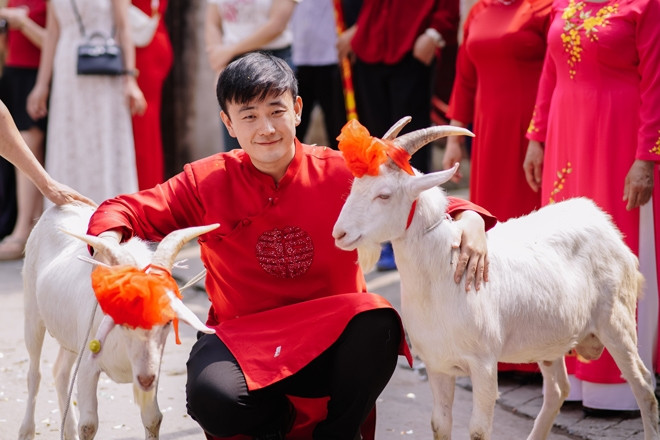 Chú rể dắt 2 con dê đi đón vợ, phía sau là chuyện hài hước