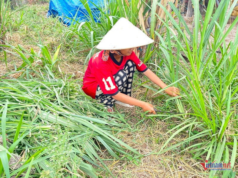 W-Chị em song sinh 4.JPG.jpg