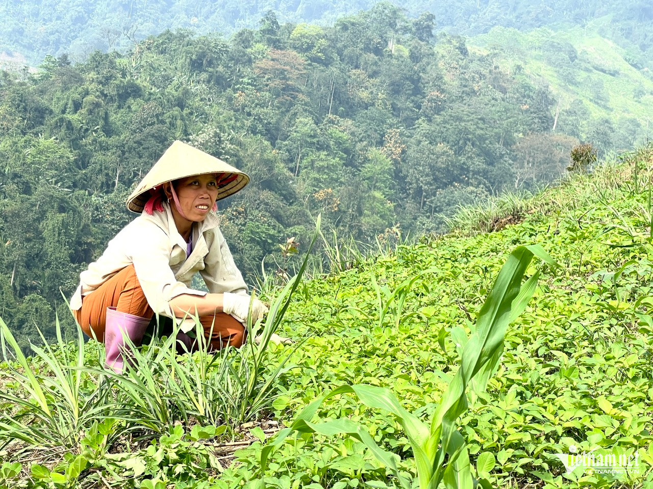 W-Chinh sach DTTSMN.jpg