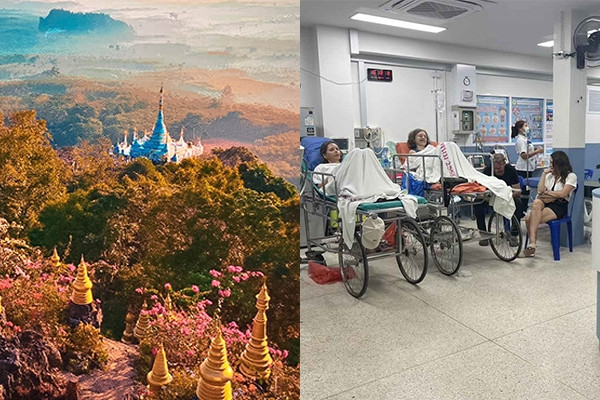 5 du khách nhập viện vì ăn quả mọc dại trong công viên