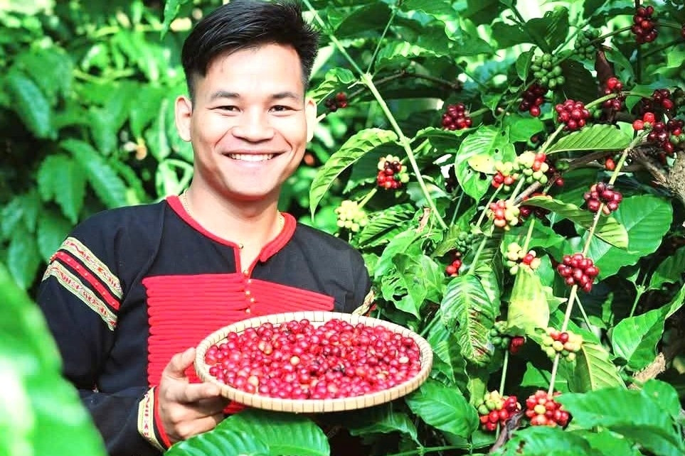Chàng trai Ê Đê bỏ nghề bác sĩ về xây dựng thương hiệu cà phê trong buôn làng