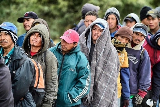 Mỹ cấp 1.000 USD, vé máy bay miễn phí cho người nhập cư ‘tự trục xuất’