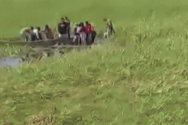 Tai nạn máy bay, 5 người thoát chết kỳ diệu giữa đầm lầy cá sấu và rắn khổng lồ